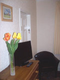 home1002002.jpg